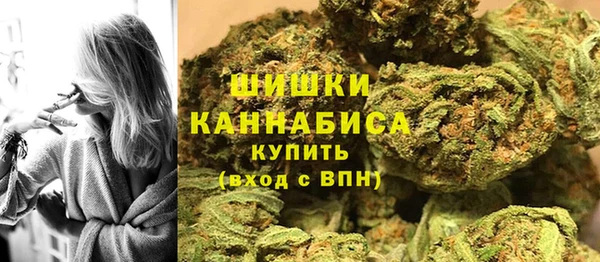 первитин Заводоуковск