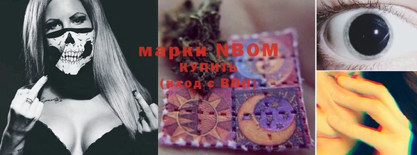 метадон Алексин