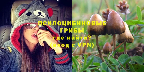 прущие грибы Алзамай