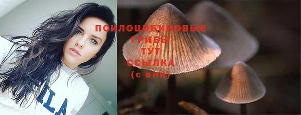 ешки Алексеевка