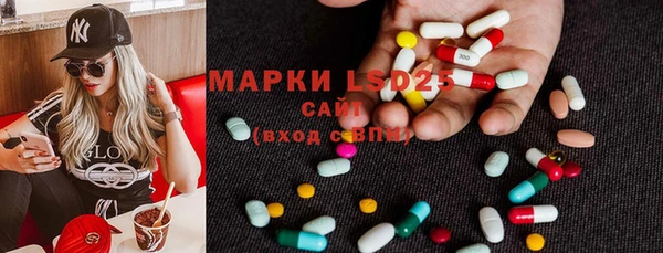 метадон Алексин