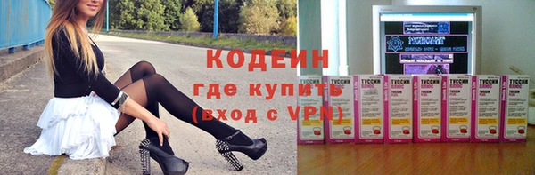 прущие грибы Алзамай