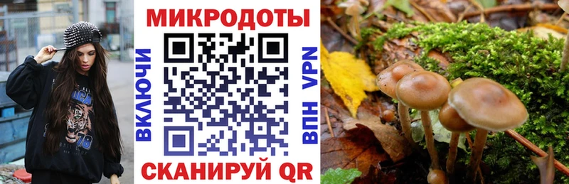 Псилоцибиновые грибы Magic Shrooms сколько стоит Оленегорск